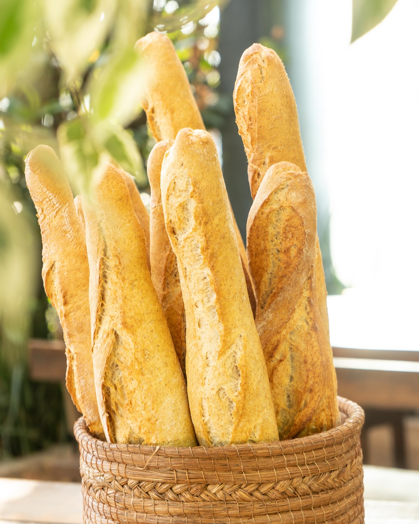 Baguette de Masa Madre